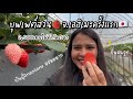 สวนสตรอว์เบอร์รี่จ.เอฮิเมะครั้งแรก แนะนำสายพันธุ์อร่อยของจังหวัด/ สวนยูคิโมะโตะ(ゆきもと)