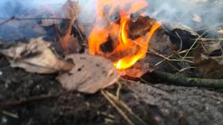 Co się  stanie  jak damy saletre do ogniska