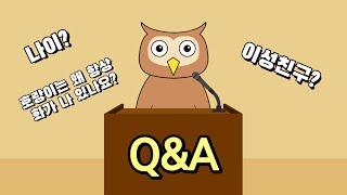 MBTI 일상툰 Q&A