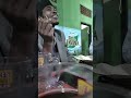 Ngobras#short #shortvideo