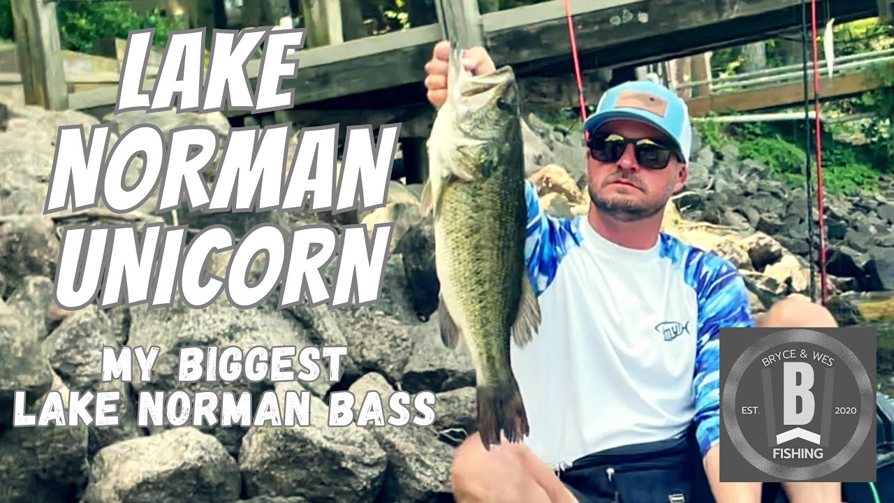 LAKE NORMAN UNICORN! My Biggest Lake Norman Bass