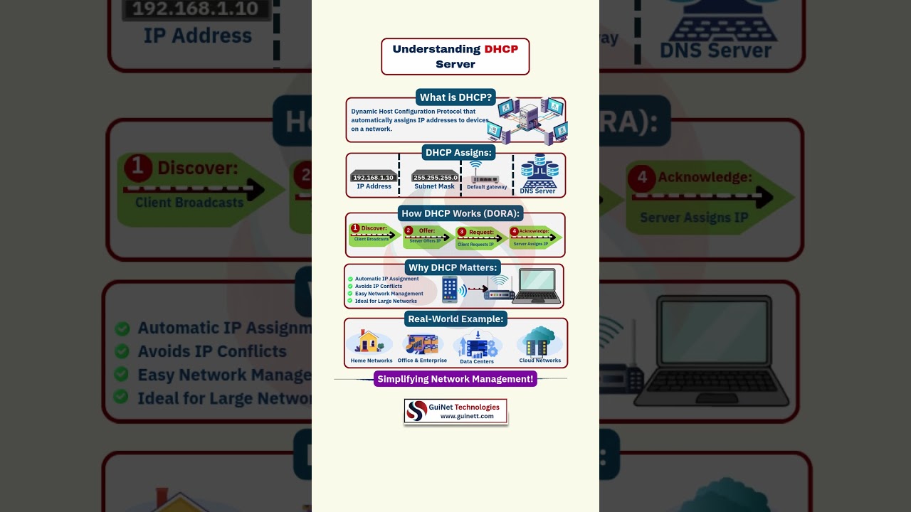 Understanding DHCP Server | How IP Address Is Assigned Automatically (CCNA)