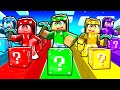MINECRAFT LUCKYRACE MA DI UN SOLO COLORE!
