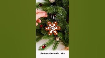 DIY cây thông Noel treo tường