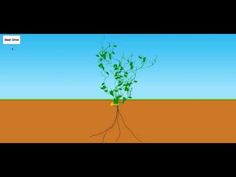 HTML5 Canvas plant