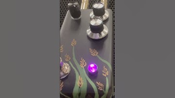 Lurch Audio Triticale suboctave fuzz pedal with Agile baritone guitar - Tool Bottom riffs