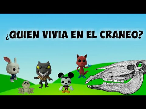 Video: ¿Quién deletrea cráneo?