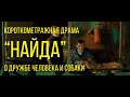 Найда (реж. Юрий Шолин) | короткометражная драма о дружбе человека и собаки