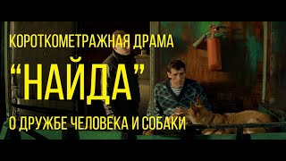 Найда (реж. Юрий Шолин) | короткометражная драма о дружбе человека и собаки