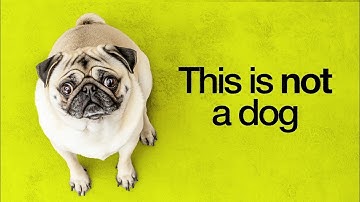 How Humans Ruined Dogs