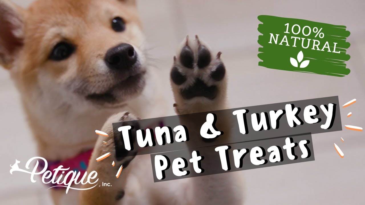 Nutritious Treats For Cats Nutritious Treats For Cats