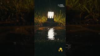 ❤️🎙️ ТЫ — МОЙ ГОЛОС! Я — ТВОЁ ЭХО! | Mary Sharm