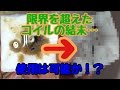 【VAPE】完全に逝ったコイルの姿！使用は可能か！？ 【ego AIO】【電子タバコMOD】