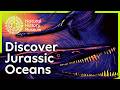 A sneak peek at our new exhibition, Jurassic Oceans: Monsters of the Deep