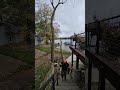 Tree removal near deck at lake house. #treeremoval