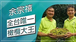 草地狀元-全台唯一橄欖大王(20171106播出)careermaster