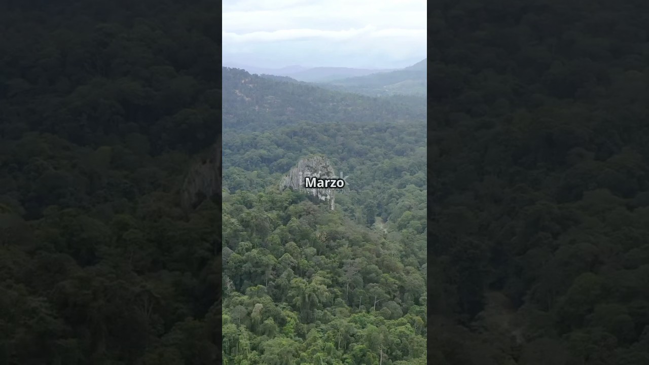 El misterio del Dr. Ford en el Darién 