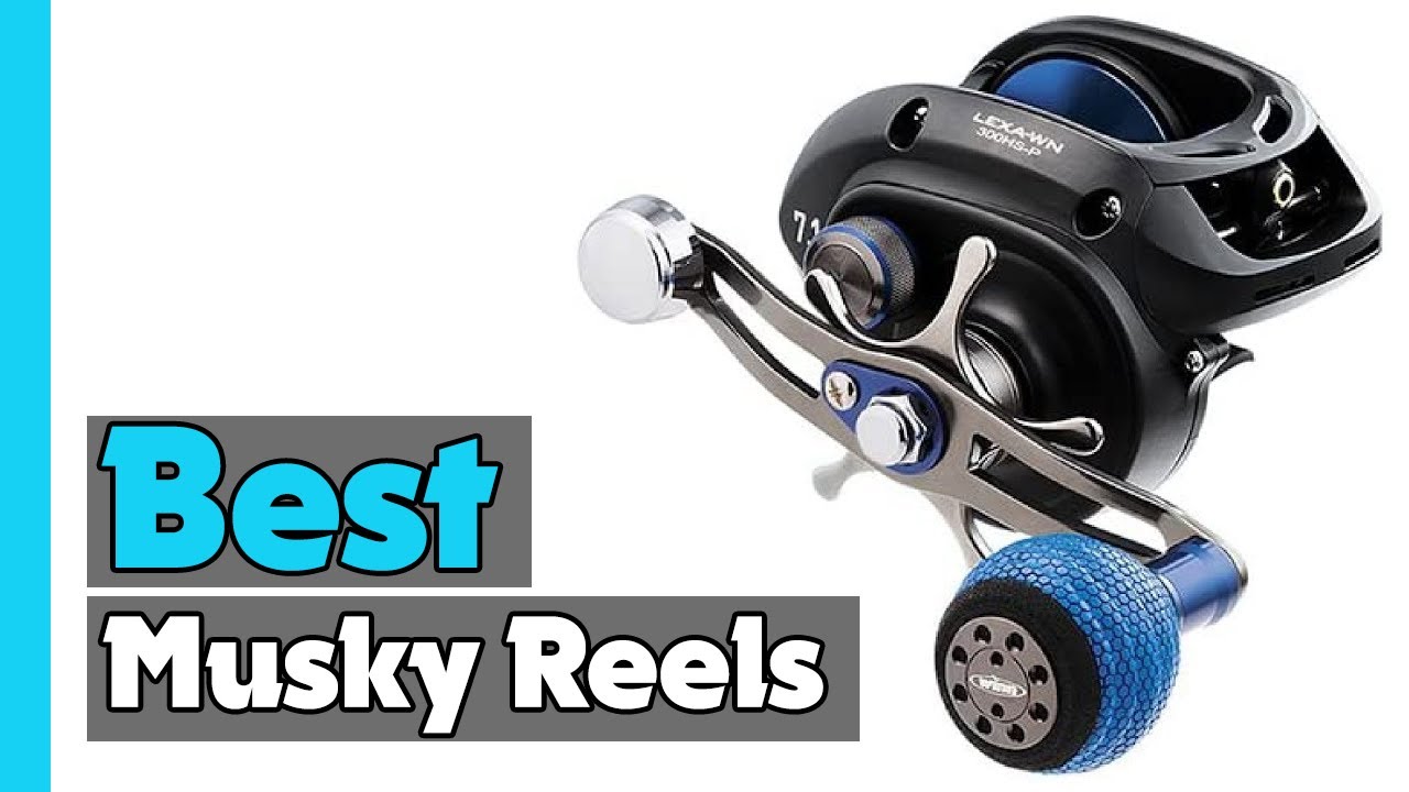 Top 5: Best Musky Reels In 2023 [  Cheap Musky Reels