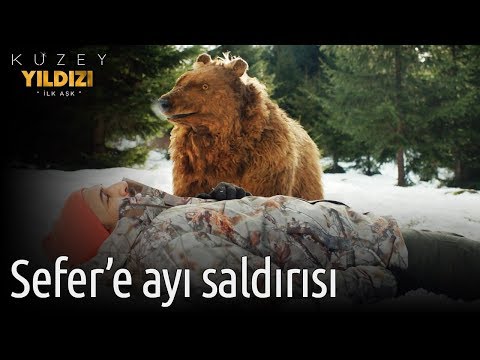 Kuzey Yıldızı İlk Aşk 15. Bölüm - Sefer'e Ayı Saldırısı