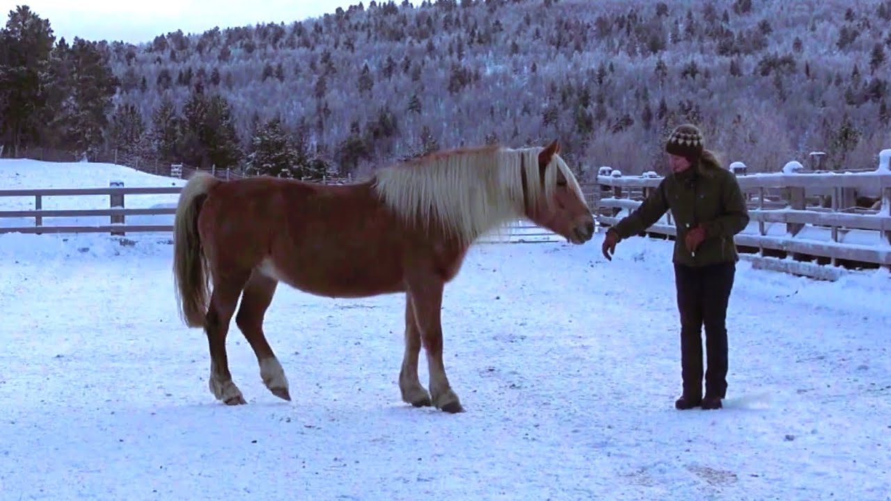 Fixing the cold shoulder