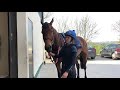 Irish Horse Racing | John McConnell & the Rockview stable team