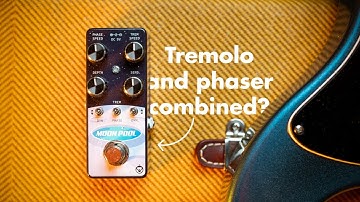 Pigtronix Moon Pool: Trem + Phaser = ❤️