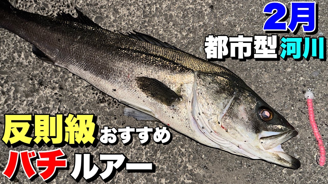 【80up降臨‼︎】超バチ特化！シーバスおすすめ反則級バチルアー‼︎