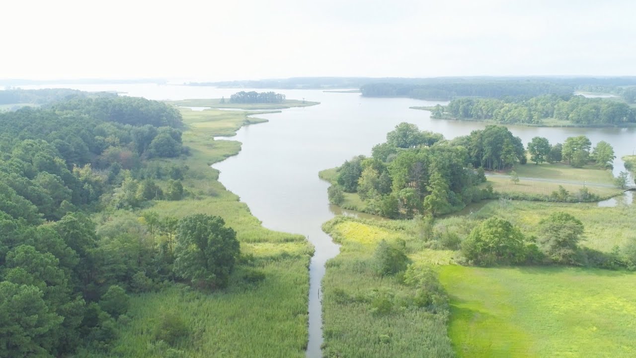 Explore a Salt Marsh