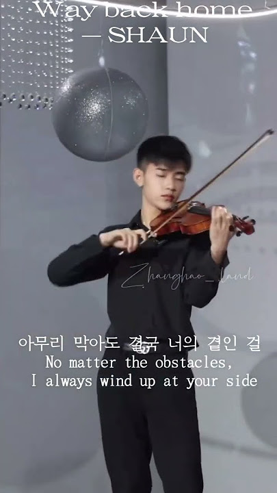 Zhang Hao playing violin 😳 #kpop #idols #shortsvideo #zhanghao #zerobaseone