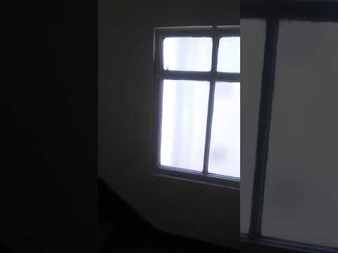 Escucho ruido en