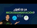 ¿Qué es la Microsegmentación?