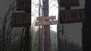 Знаменитая Поляна Высоцкого|Агурское ущелье|#shorts #россия #путешествия #сочи #высоцкий #поляна