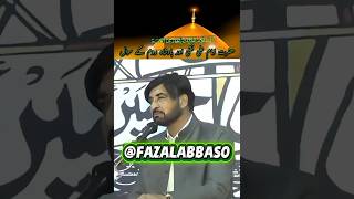 allama ali nasir talhara🕋♥️ || fazal Abbas 0 #shortvideo #pti #duet#viral #duet#geo#arynews