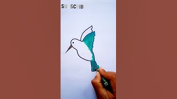 How to Draw Humming Bird Step by Step / Humming Bird Drawing / Easy Drawing / #shorts