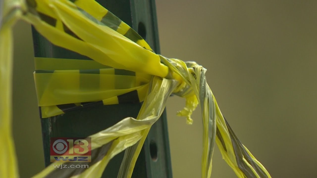 Police Seek Driver Who Injured Elderly Woman In Hit And Run