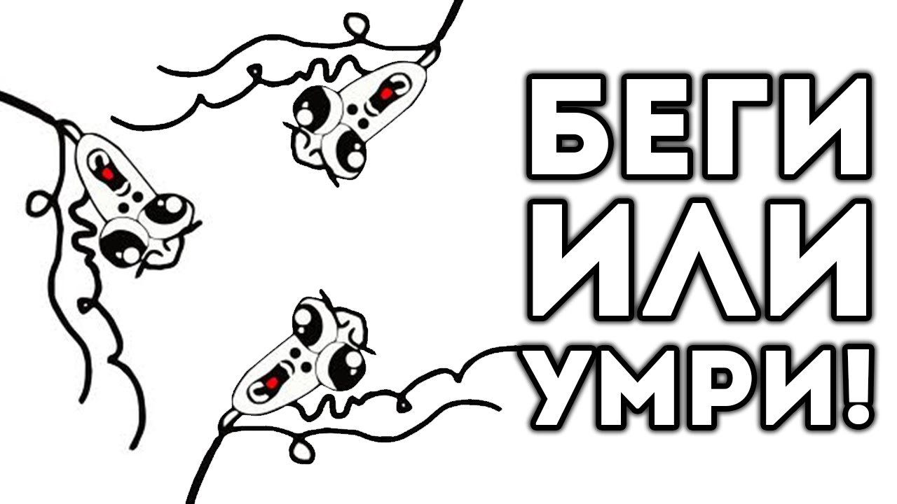 Почини машину и умри Почини машину и умри