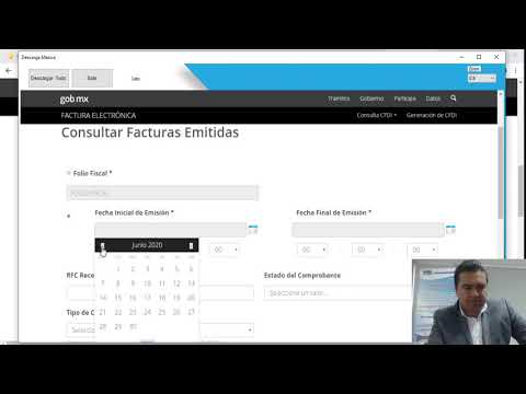 Haremos uso del portal del SAT para detectar las fallas del sistema  y descargar en zip los xmls.