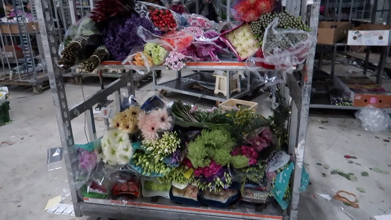 VLOG: Приехали ЦВЕТЫ к 8 МАРТА: мой ЗАКАЗ  //2-3 марта 2020 🌿🌸 🌿