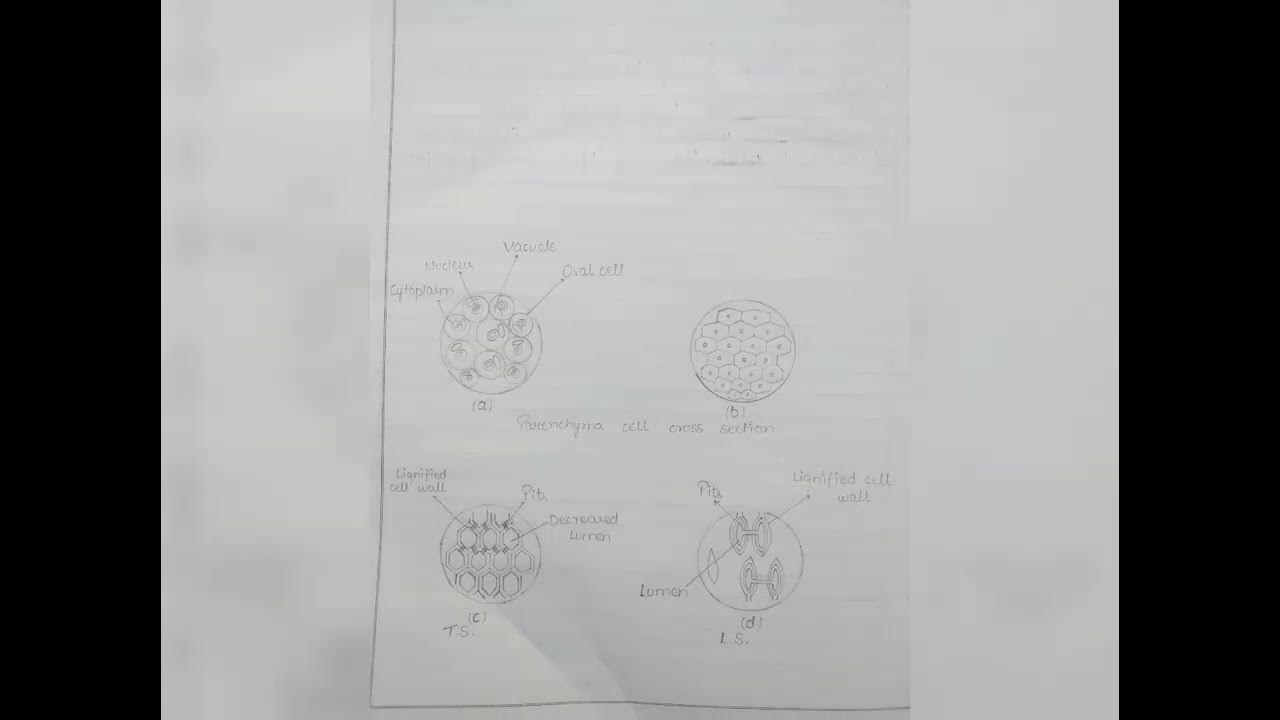 Class 9 Science Lab Manual solutions PDF thesoulofgenius.6609