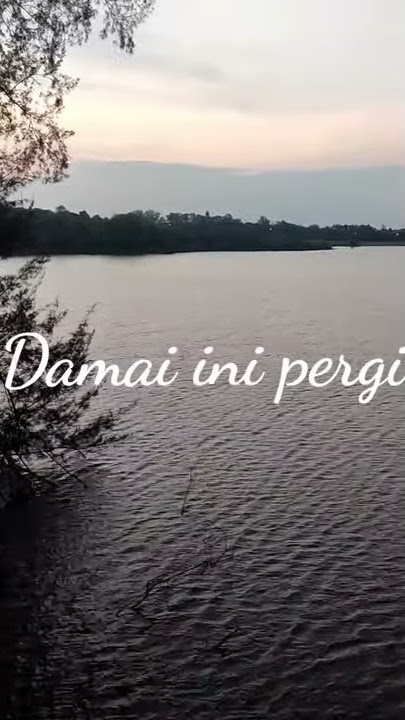 damai bersamamu cover felix(story wa)