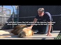 Ukee Update from the Marine Mammal Rescue Centre
