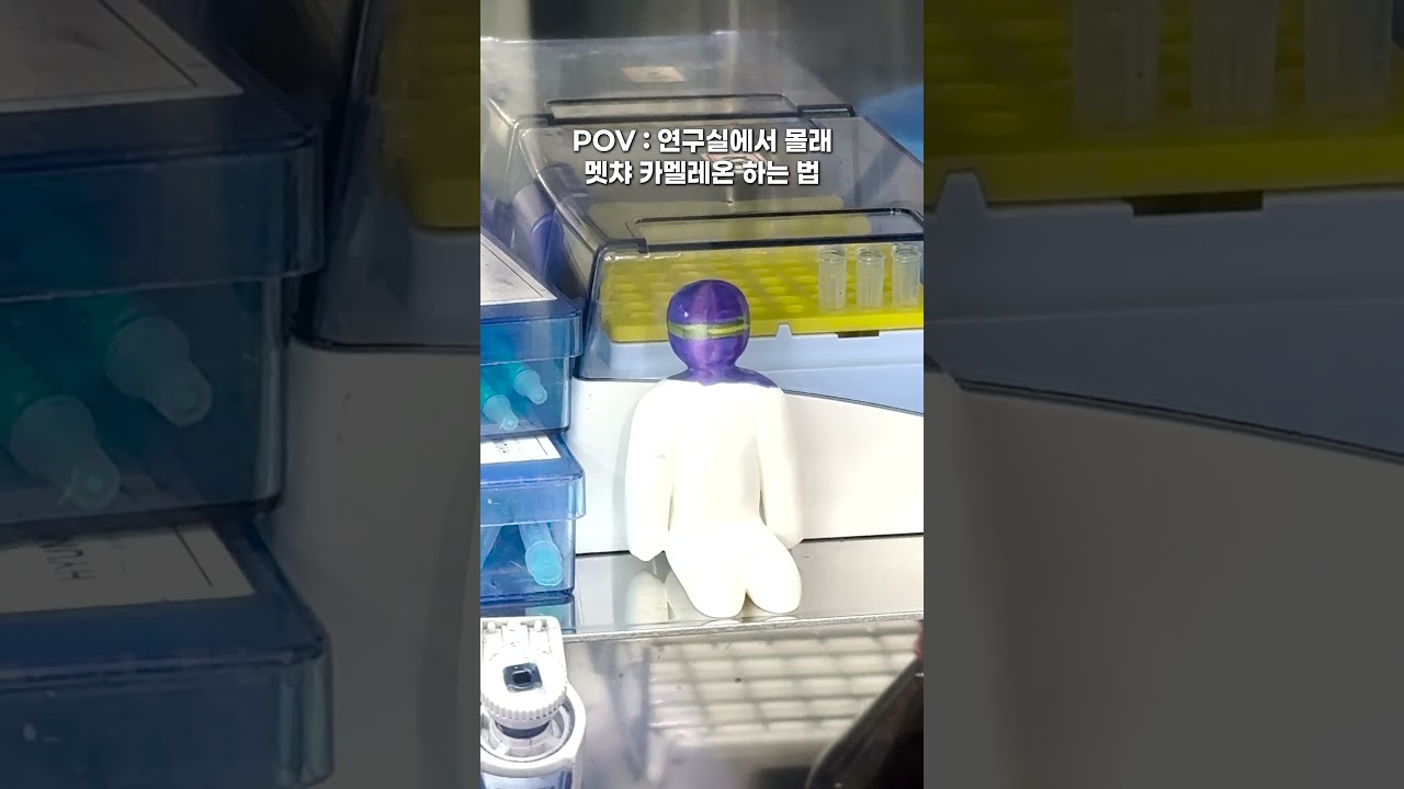 [SNS 서포터즈] 🔬연구실에서 메챠 카멜레온🦎