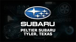 How To Reset the Trip Clock on your Subaru Forester