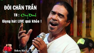 Đôi Chân Trần | Công Danh hát LIVE nhạc sống Guitar Bolero Mái Lá