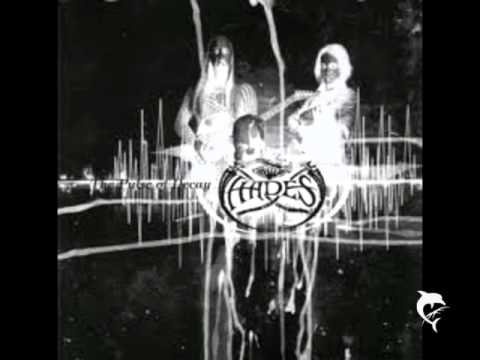 The Pulse Of Decay Video