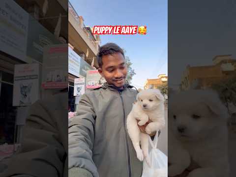 puppy le aaye🥰#minivlog#viral#trending#village#shorts#reels#river#waterfall#hills#enjoy