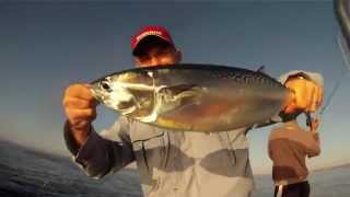 Shimano Coltsniper Jigs - 2012