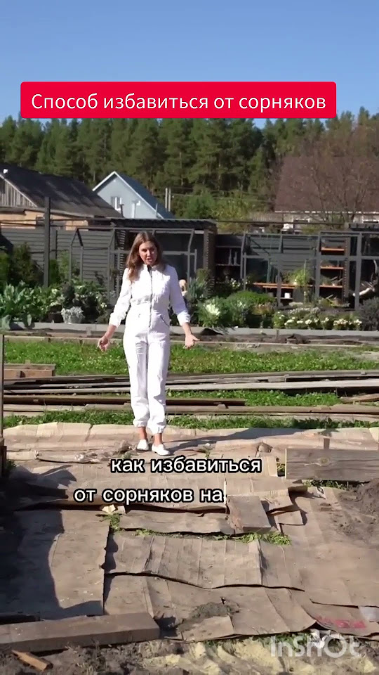 #загородныйдом #дача #огород - YouTube