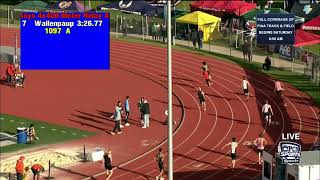 Boys AAA 4x400m Relay - Avonworth/Northgate - 2025 PIAA Track & Field Championship