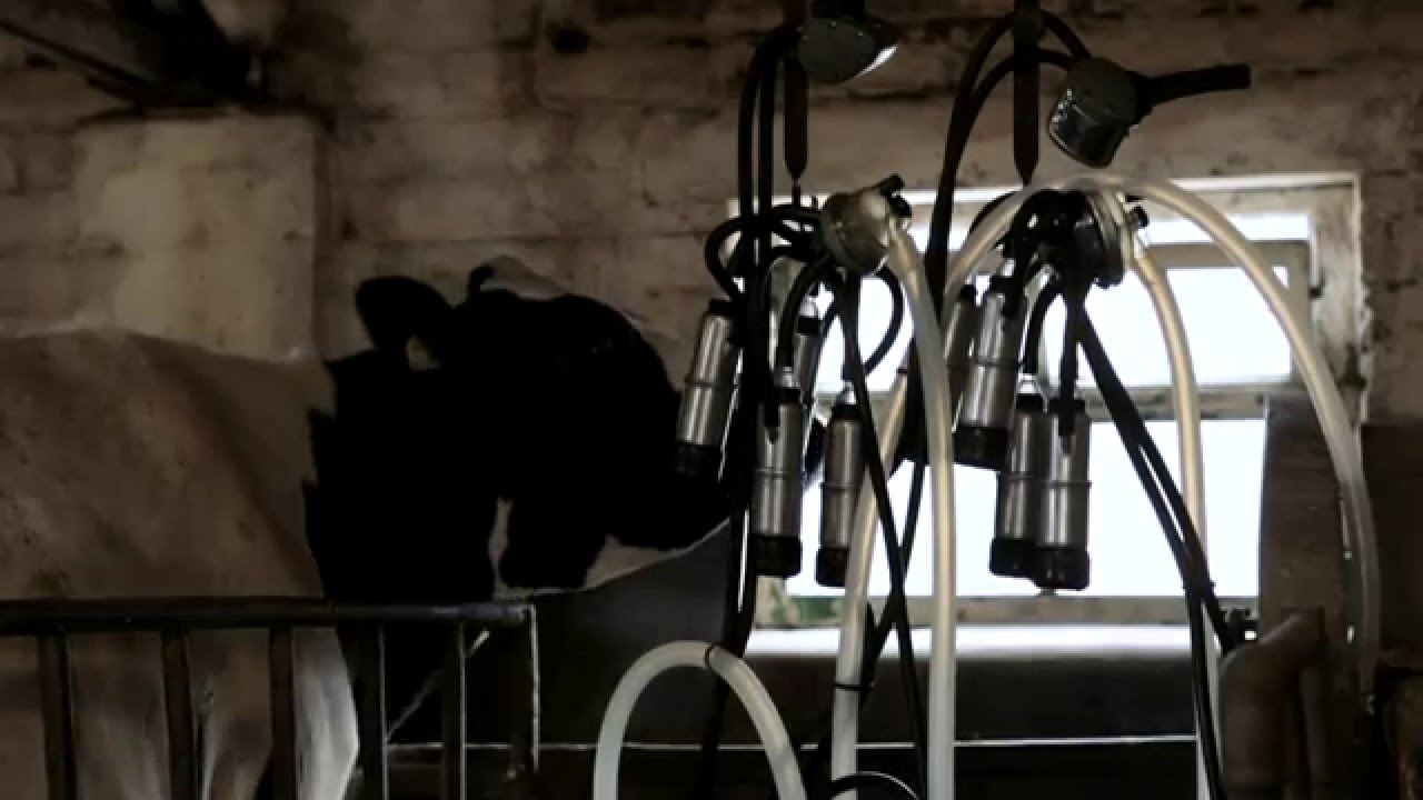 suraSil™ Food Grade Dairy Tubing - Silicone Engineering